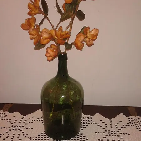 בית הארחה Pensao Bela Vista By Portugalferias
